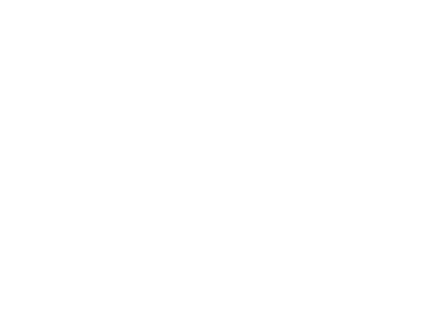 Garage-Meca-Fast-Scientrier